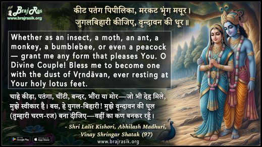 कीट पतंग पिपीलिका मरकट भृंग मयूर - श्री ललित किशोरी, अभिलाष माधुरी, विनय श्रृंगार शतक (97)