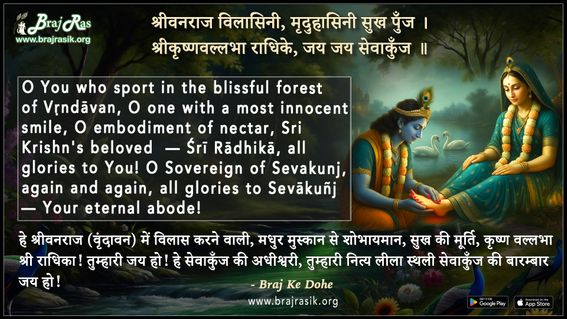 Shri Vanraj Vilasini Mridu Hasini Sukh Punj - Braj Ke Dohe