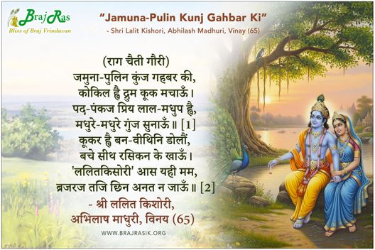 Jamuna-Pulin Kunj Gahbar Ki - Shri Lalit Kishori, Abhilash Madhuri, Vinay (65)