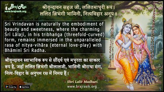 Shri Vrindavan Sahaj Ji Lalit Madhuri Roop - Shri Lalit Madhuri