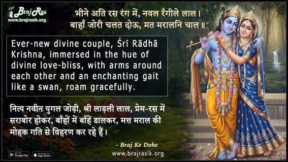 Bhine Ati Ras Rang Mein Naval Rangile Laal - Braj Ke Dohe