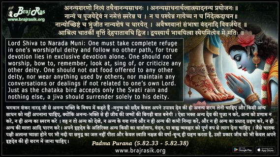 Ananyasharano Nityam Tathaivananyasadhanah - Padma Purana (5.82.33 - 5.82.38)
