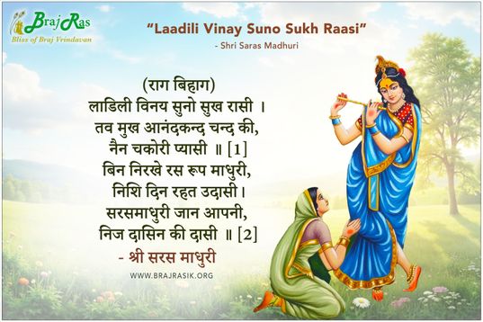 Ladili Vinay Suno Sukh Raasi - Shri Saras Madhuri Ji