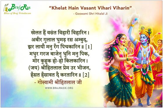 खेलत हैं वसंत विहारी विहारिन - गोस्वामी श्रीहितलाल जी