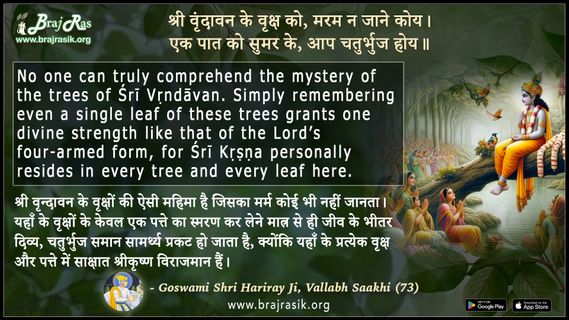 Shri Vrindavan Ke Vriksh Ko Maram Na Jaane Koy - Goswami Shri Hariray Ji, Vallabh Saakhi (73)
