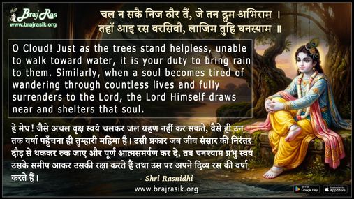 चल न सकै निज ठौर तैं जे तन द्रुम अभिराम- श्री रसनिधि