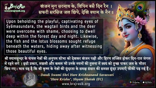 खंजन मृग सरमाय के - डंडी स्वामी श्री हरे कृष्णानन्द सरस्वती ‘हरे कृष्ण’, श्याम शतक (01)