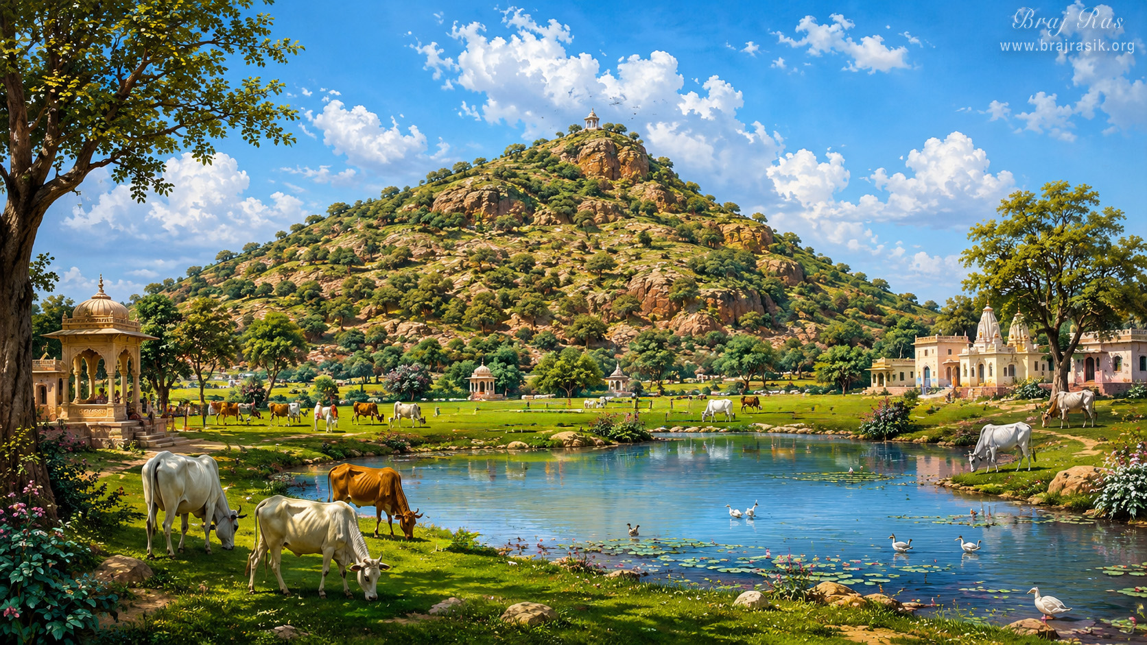 Landscape scenery of Govardhan.
Under a bright blue sky filled with fluffy white clouds, the sacred Govardhan Hill stands proudly covered in lush green vegetation and rocky slopes. At its base, peaceful cows graze along the grassy banks of a sparkling pond filled with water lilies and ducks. Elegant pavilions and traditional temple structures dot the idyllic countryside landscape, completing a idyllic scene of Braj.