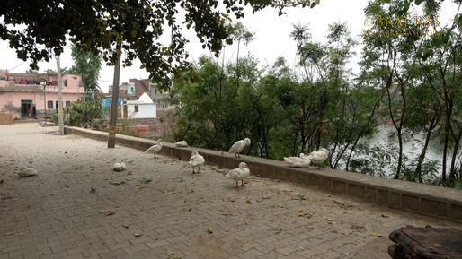 Bahulavan