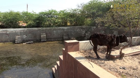 Kilol Kund, Govardhan