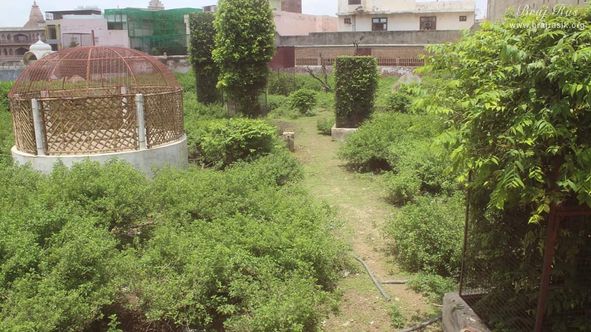 Kishor Van, Vrindavan