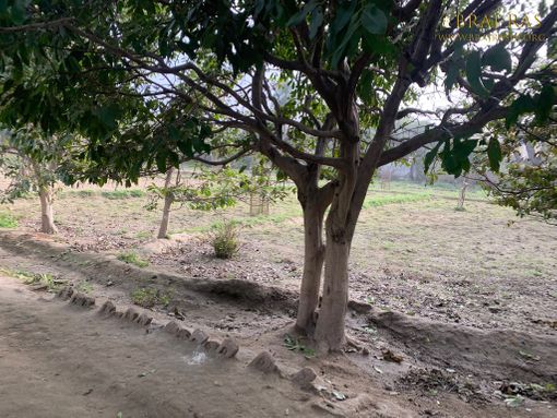 Shri Lalita Bagh, Vrindavan
