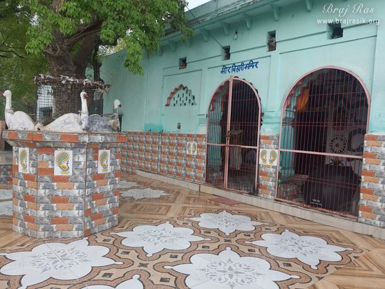 Shri Mor Bihari Temple / Konkeshwar Mahadev - Nandgaon