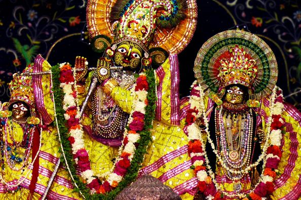 Shri Radha Damodar Temple, Vrindavan
