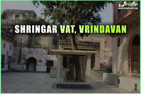 श्रृंगार वट- वृन्दावन